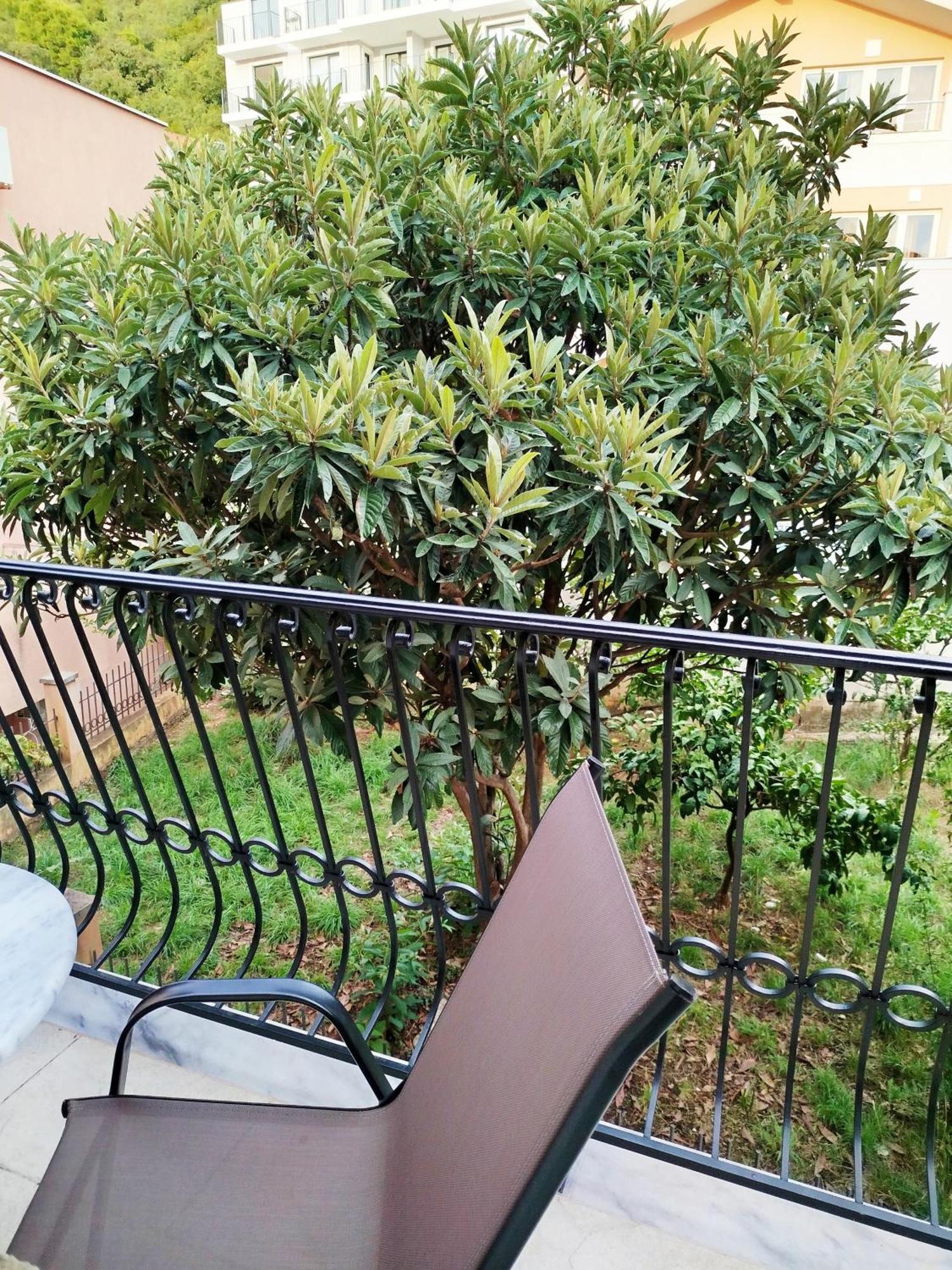 Mijovic Apartments بودفا المظهر الخارجي الصورة